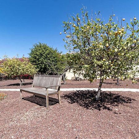 Casa Las Palmeras Granadilla De Abona Eksteriør bilde