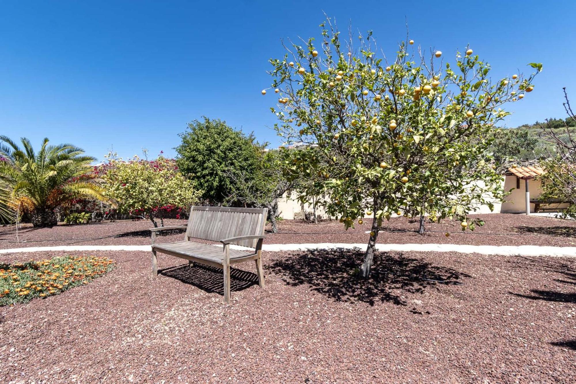 Casa Las Palmeras Granadilla De Abona Eksteriør bilde