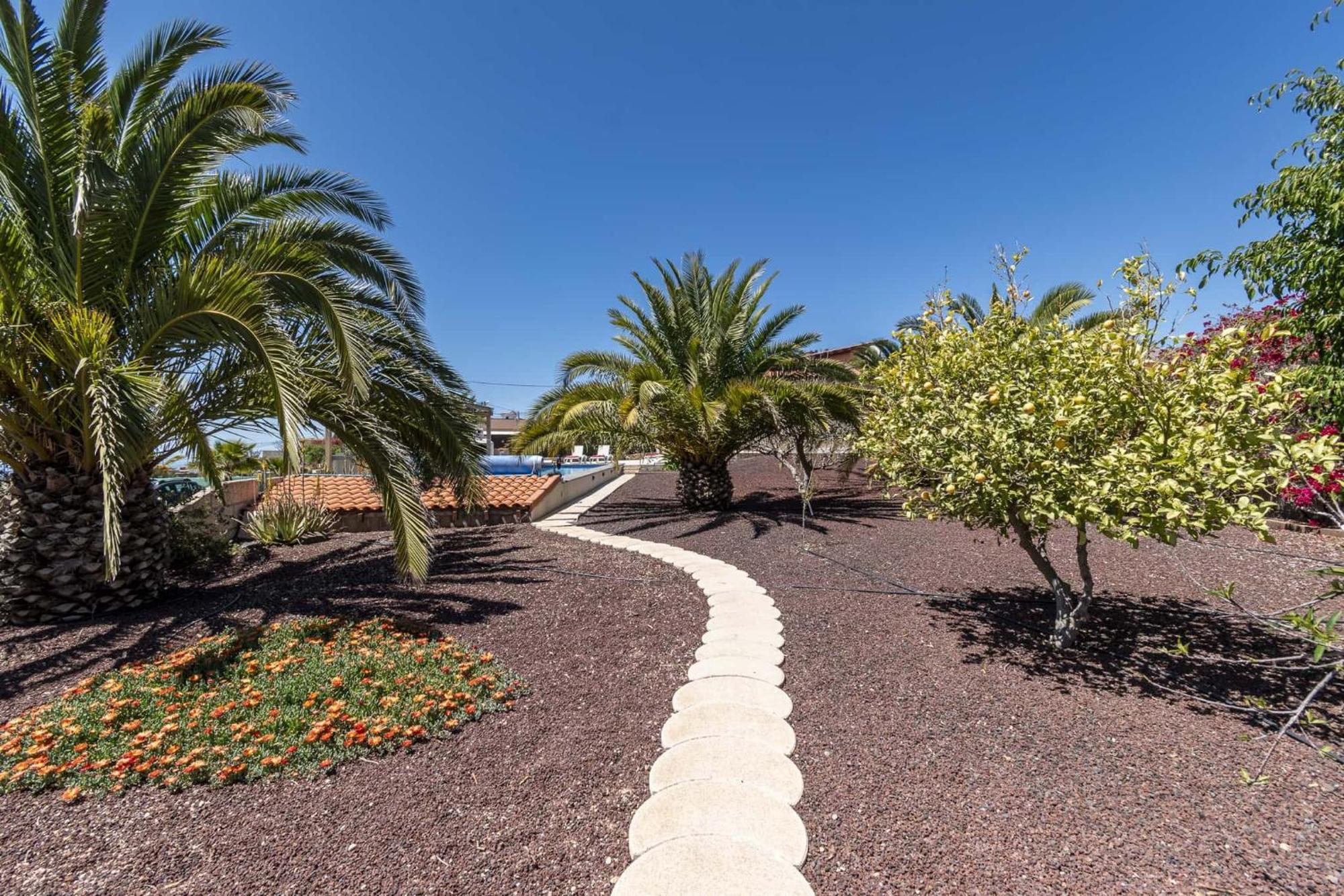 Casa Las Palmeras Granadilla De Abona Eksteriør bilde